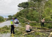 Kasat Lantas Bener Meriah Bersihkan Pohon Tumbang