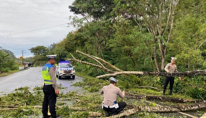 Kasat Lantas Bener Meriah Bersihkan Pohon Tumbang