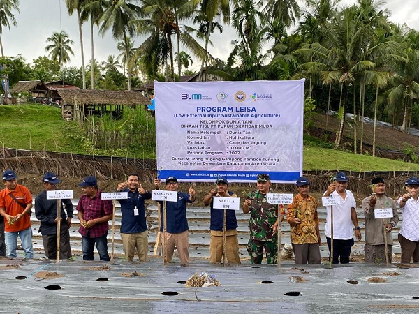 Penanaman cabai dan jagung di areal seluas 20 ribu meter, usaha meningkatkan bidang pertanian dan holtikulturan, merupakan Program TJSL PT.PIM. Waspada/ist