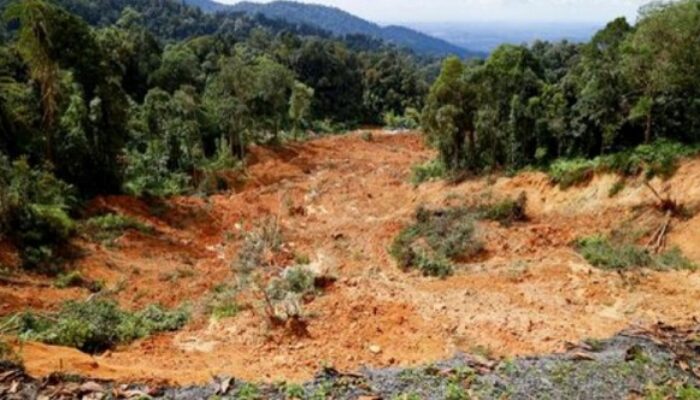 Longsor Selangor Sudah Renggut Jiwa 16 Orang