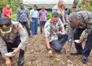 Gerakan Tanam Kedelai Di Sabang