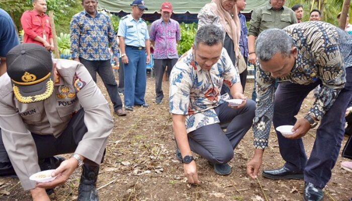 Gerakan Tanam Kedelai Di Sabang