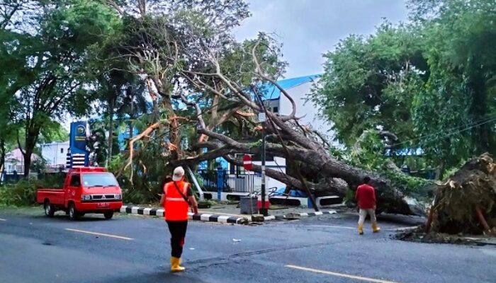 Cuaca Esktrem, BPBD Sabang Siap Siaga Tangani Bencana