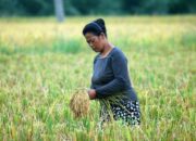Penduduk Asahan Lebih Banyak Laki-laki Dari Perempuan