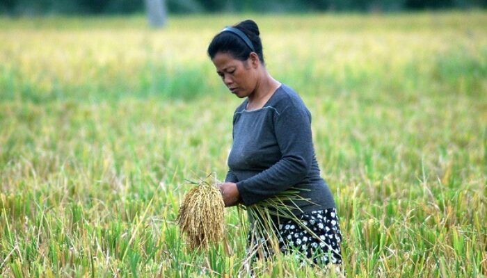 Penduduk Asahan Lebih Banyak Laki-laki Dari Perempuan