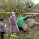 NEKROPSI: Drh Rosa Rika Wahyuni, bersama petugas lainnya melakukan nekropsi terhadap bangkai gajah Lilik yang mati akibat diserang gajah liar sekitar 100 meter dari CRU Serbajadi di Gampong Bunin, Kab. Aceh Timur, Senin (26/12). Waspada/Ist.