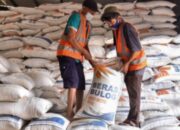 Cadangan Beras Bulog Sudah Di Bawah Standar