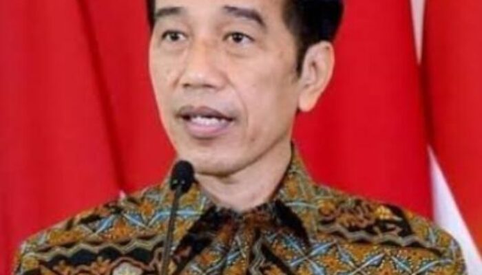 Jokowi Dorong Ibu Rumah Tangga Manfaatkan KUR PNM Mekaar 