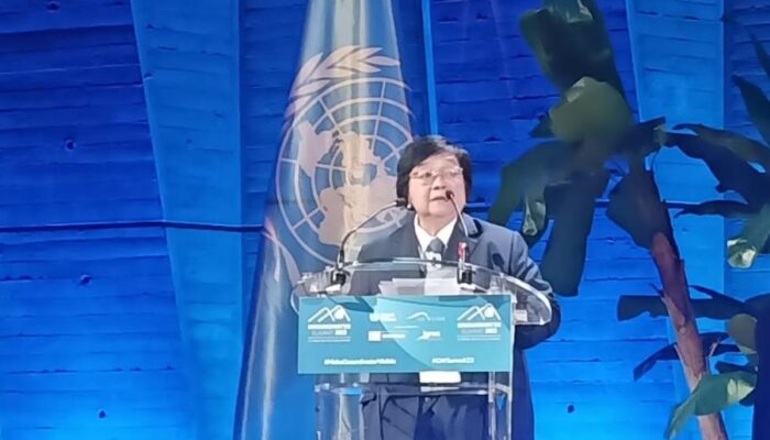 Di Forum UN Water Summit on Groundwater, Menteri LHK Sampaikan Langkah Indonesia Kelola Air Tanah