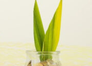 Basis Konseptual Kemajuan Bangsa 