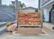 Jelang Akhir Tahun, BB TNGL Tangkap Kayu Hasil Illegal Logging