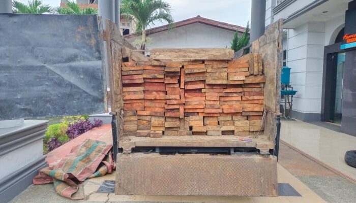 Jelang Akhir Tahun, BB TNGL Tangkap Kayu Hasil Illegal Logging