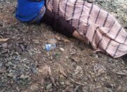 Trado Kontra Betor Di Abdya, 2 Tewas