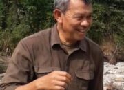 Direktur LembAHtari Prihatin PDPK Aceh Tamiang Dirumahkan