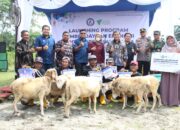 Wabup Deli Serdang Resmikan Sentra Breeding Domba Kolaborasi YBM BRILiaN dan DD Waspada
