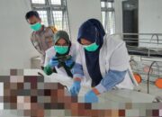 Ditolak Istri, Warga Riau Tewas Kecelakaan Di Tapsel
