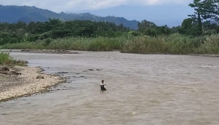 Muhammad Rasoki, Bertaruh Nyawa Menggantungkan Hidup Di Sungai Batang Toru