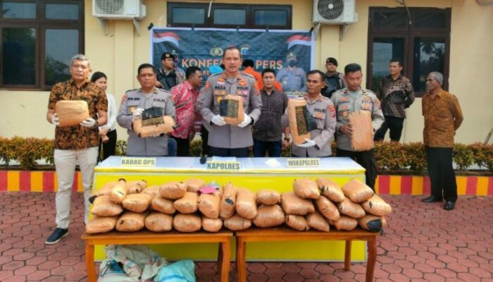 Dor…! Polres Madina Amankan 47 Kg Ganja