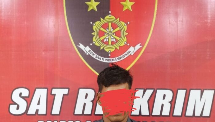 Polisi Agara Kembali Bekuk Pelaku Rudapaksa Anak Di Bawah Umur