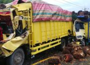 Laka Beruntun Renggut Jiwa Sopir, Satu Kritis