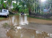 Warga Terdampak Banjir Pidie Jaya Mulai Pulang Ke Rumah