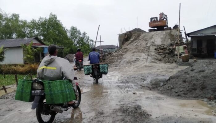 Jembatan Tanjung Rejo-Paluh Merbau Akan Segera Beroperasi