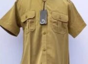 Permendagri Nomor 11 Tahun 2020: ASN Wajib Berpakaian Dinas