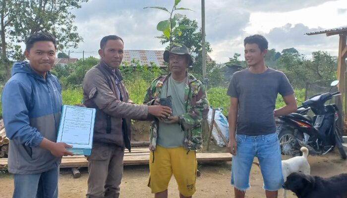 KTH Lam Miduk Terima Bantuan Bibit Alpukat Dari TPL