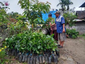 Bupati Tapsel Serahkan 1000 Pokok Bibit Kopi Arabika ke Petani Desa Sitaratoit