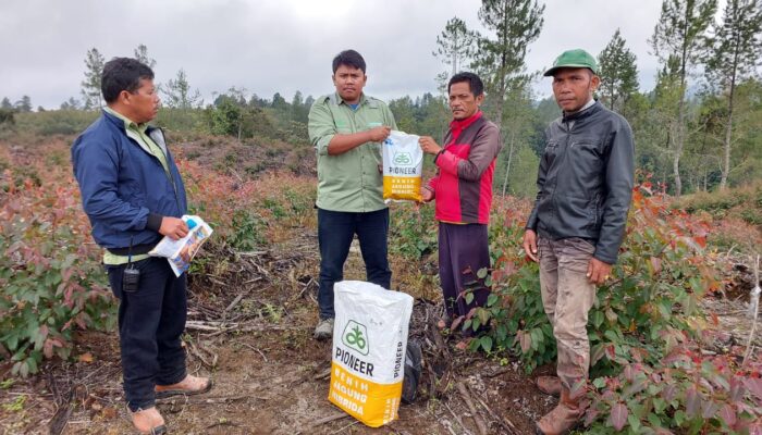 Plasma Intercop TPL Terima Bantuan Bibit Jagung 17 Kg