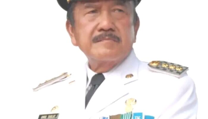 Semoga Jasa Amru Daulay Untuk Madina Menjadi Limpahan Pahala