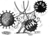 Bank Dunia Proyeksikan Ekonomi Indonesia Tumbuh 4,8 Persen Di 2023