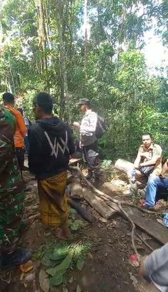 Terus Dicari, Warga Tanobato Hilang Misterius Di Hutan Terus Dicari, Warga Tanobato Hilang Misterius Di Hutan