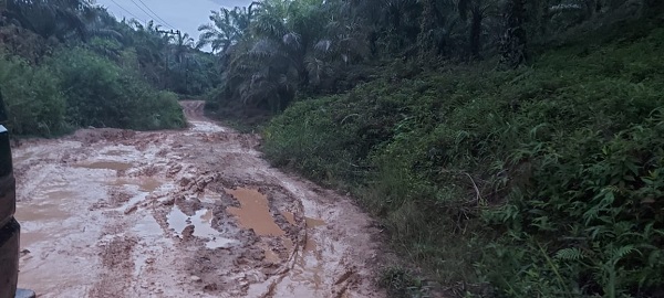 Jalan Di Tapsel Kupak-kapik, Warga Minta Diperhatikan Jalan Di Tapsel Kupak-kapik, Warga Minta Diperhatikan