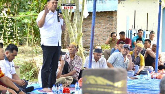 Masa Tanam Cabai 2023, Bupati Zahir Doa Bersama Petani