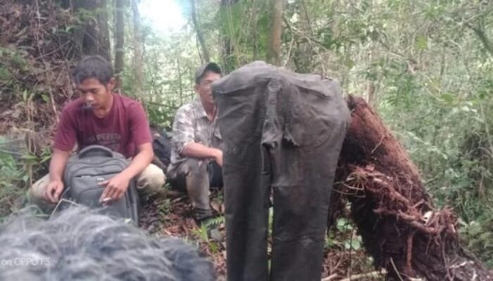 Ditemukan Celana Panjang 16 Km Di Tengah Belantara