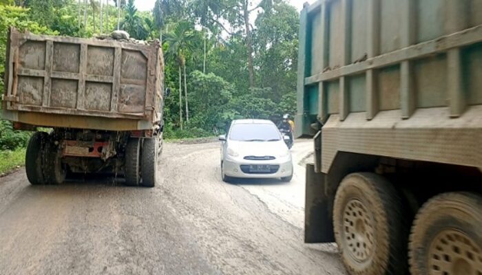 Truk Proyek Picu Jalan Tangse-Beureunuen Rusak Parah