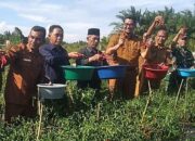 Dongkrak Produksi Dan Stabilisasi Harga, Solusi Tangani Inflasi
