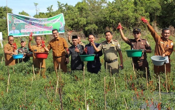 Dongkrak Produksi Dan Stabilisasi Harga, Solusi Tangani Inflasi