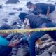 Petugas Inafis Polres Pidie sedang memeriksa temuan dugaan tulang belulang manusia yang kondisinya tidak utuh, Selasa (17/1) Waspada/Muhammad Riza