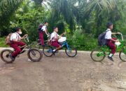 Partisipasi Sekolah Asahan Tingkat PT 17.35 Persen