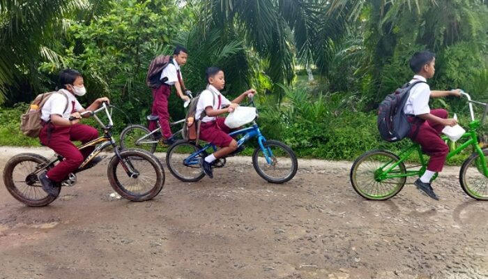 Partisipasi Sekolah Asahan Tingkat PT 17.35 Persen