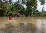 Banjir Aceh Timur Meluas Ribuan Jiwa Mengungsi