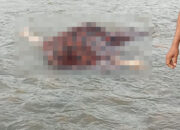 Santri Musthafawiyah Ditemukan Meninggal Di Jembatan Hutabargot