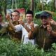 Pj Wali Kota Langsa, Ir Said Mahdum Majid saat melakukan panen Cabai Merah di di Gampong Meurandeh Dayah, Kecamatan Langsa Lama, Kamis (26/1). Waspada/Rapian