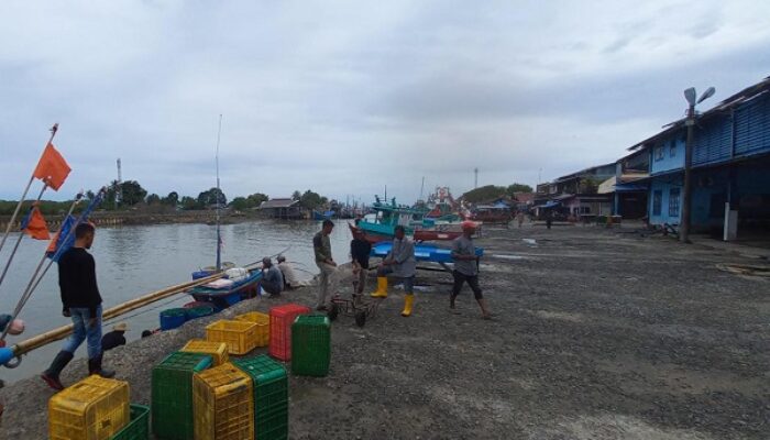 PPN Aceh Timur Butuh Cold Storage