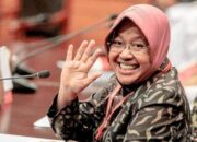 Besok Mensos Ke Aceh Timur