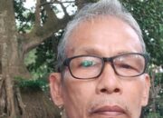 Konflik Satwa Di Kawasan TNGL Disebabkan Illegal Logging