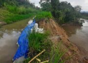 Saluran Induk Jebol, 4.000 Hektar Sawah Tapsel Dan Madina Terancam Gagal Tanam