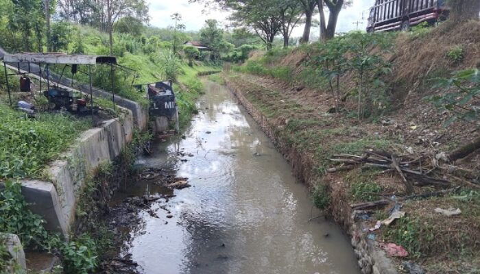 Irigasi Tersumbat, Petani Madina Meradang